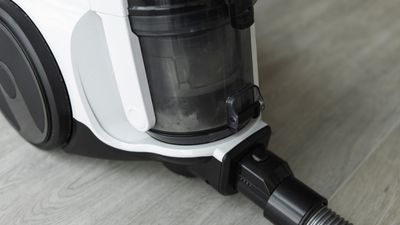 Aspirador profissional para limpeza eficiente de casa - Casa em Dia Maia