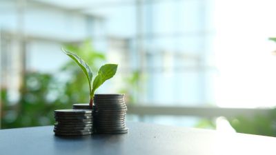 Conceito de manutenção preventiva vs corretiva com planta a crescer sobre moedas - investimento inteligente - Casa em Dia Maia